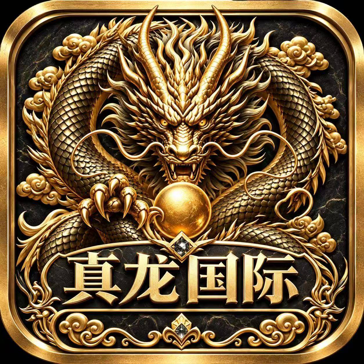 真龙国际